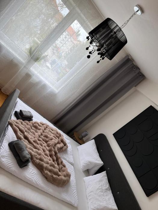 Domus Apartment