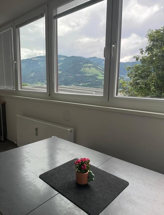 Apartment Zoe