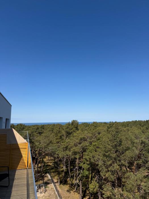 Apartament Sosnowy 45