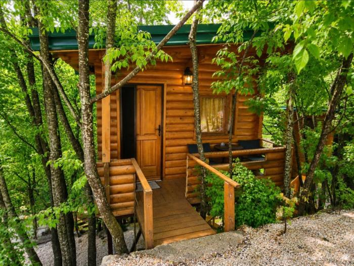 Still cabin