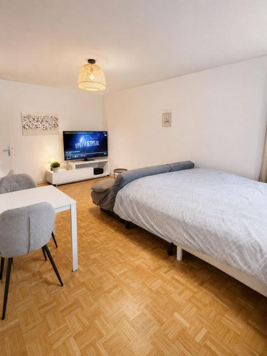 Serene 2-Bedroom Apartment in Chne-Bougeries, Switzerland