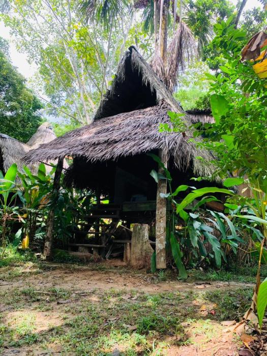 Jungle Cabin - Satori Natural