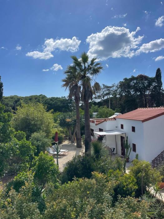 Maison de plage et jardin botanique à 600m de la mer