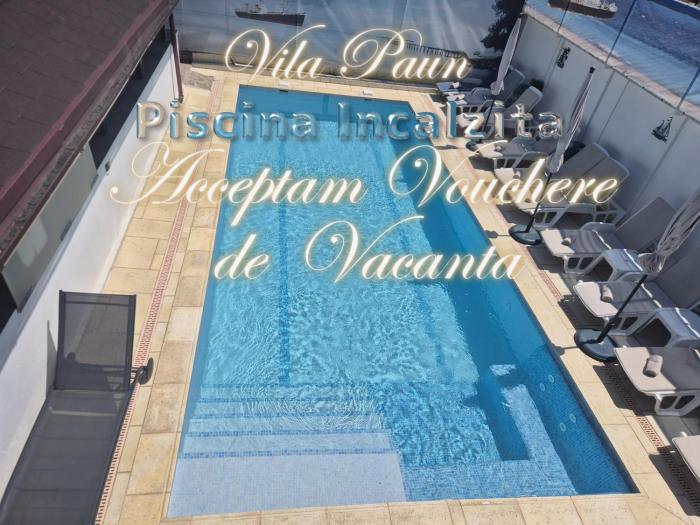 Vila Paun