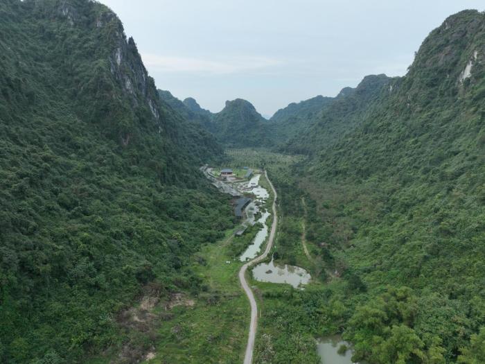 Ninh Binh Golden Camellia Park