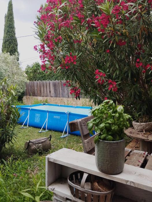 Maison provençale au cœur du Vaucluse avec piscine