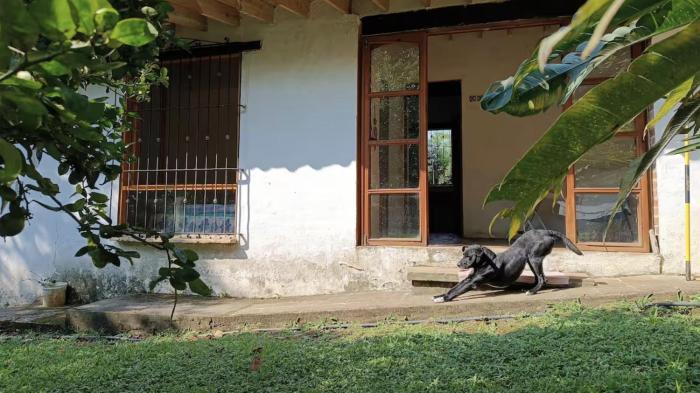 Casa del Pájaro Mono