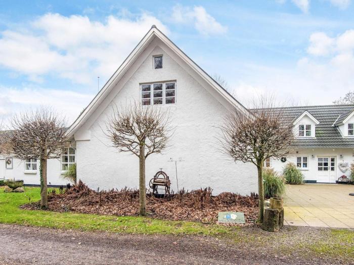 5 star holiday home in Ansager