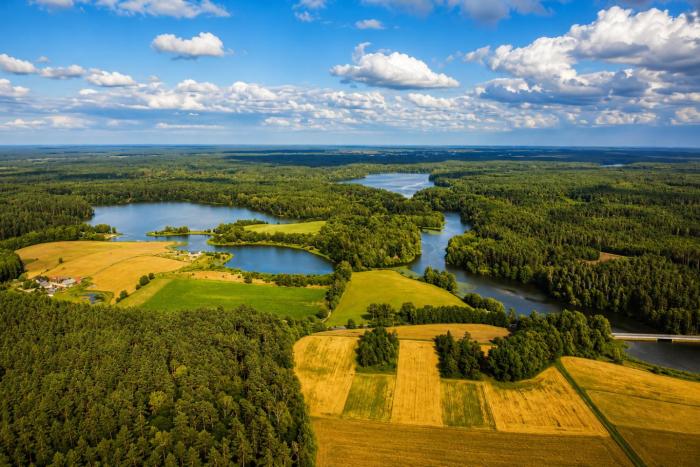Folwark Wierzchy - Domki wśród lasów
