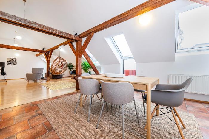 Air-conditioned 2-bedroom attic loft with terrace