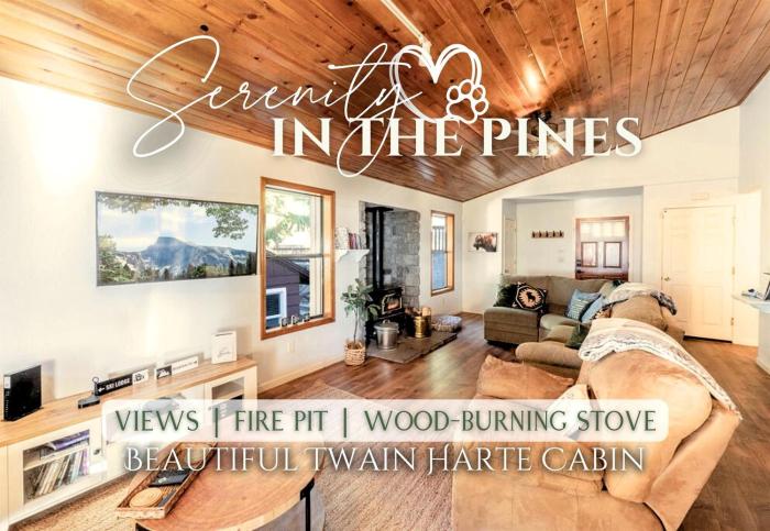 Enjoyable Cabin with Fireplace and Foosball in Twain Harte, California