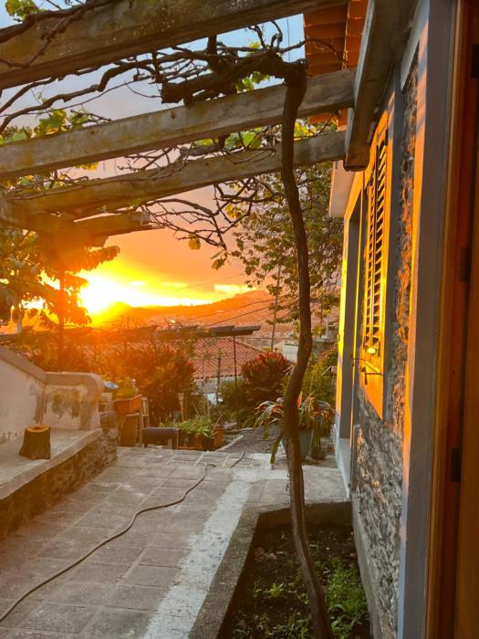 Casa das Flores Garden