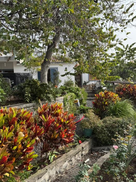 Casa das Flores Garden