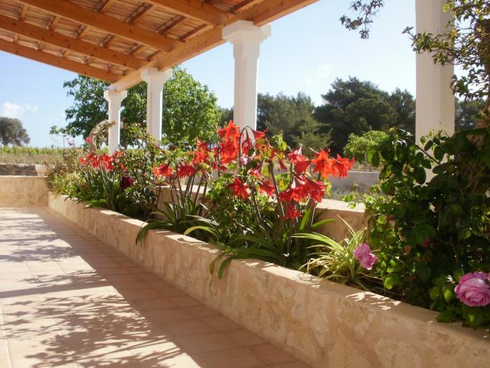 Finca Blanca Formentera