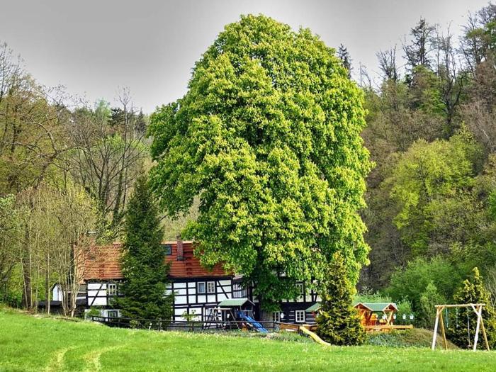 Gaststätte & Pension Lochbauer