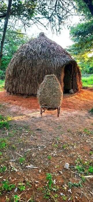 Makoyo Bantu Cultural Huts
