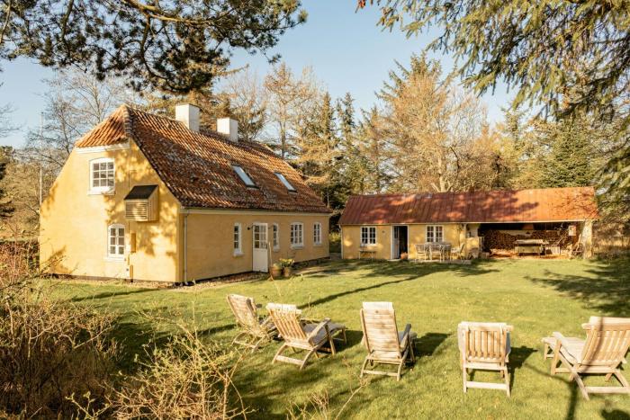 Wrapped In Woodland Peace In Denmark