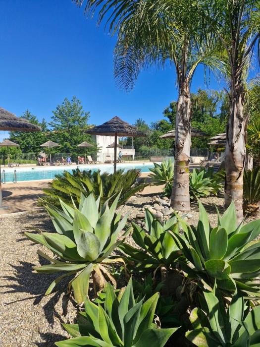 T2 terrasse piscine et plage Moriani Corse