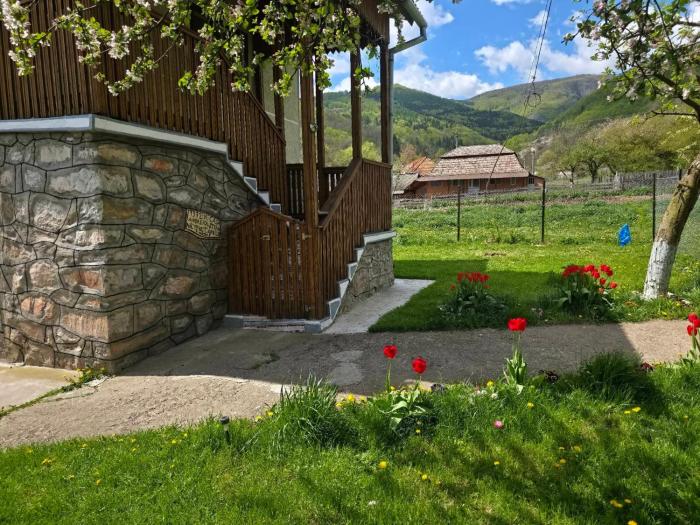 La Umbra Muntilor Traditional House - hot tub included