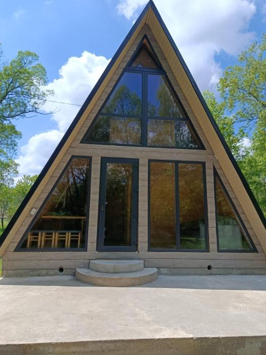 A-frame family