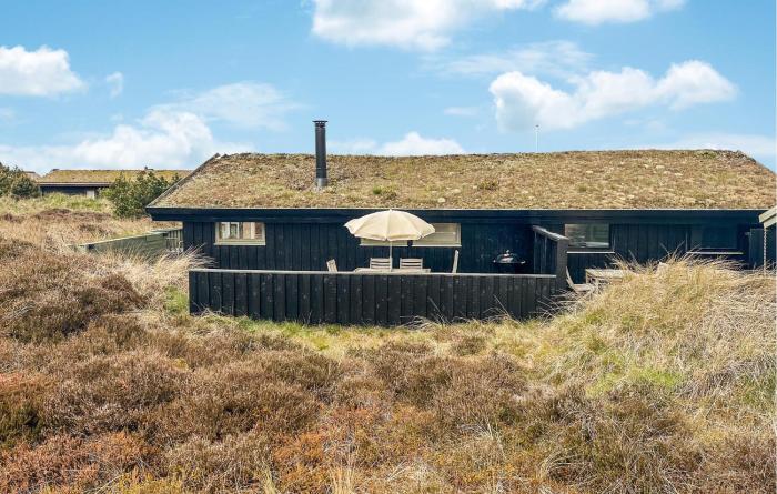 Gorgeous Home In Blåvand With Wifi