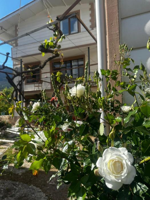 İzol Apart Evleri