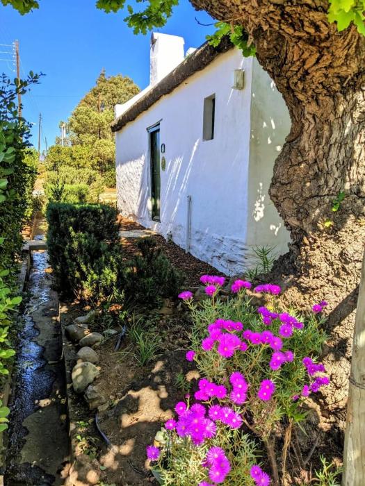 Old Corner Cottage