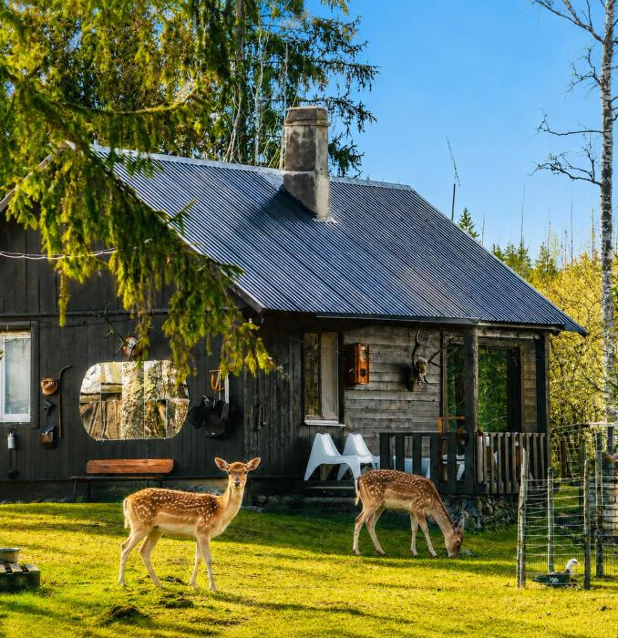 Lake Deer Park Retreat with Hot Tub & Sauna