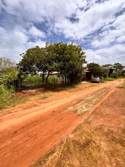 Rincón Llanero