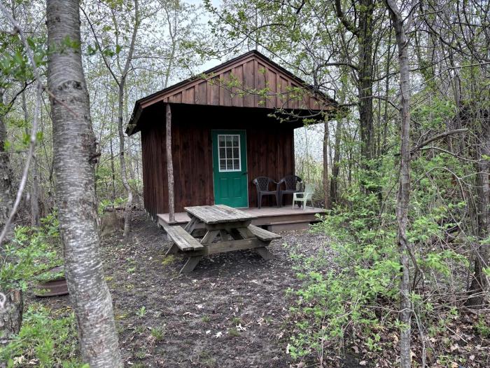 Secluded Cabin Escape with Fire Pit & Relaxing Outdoor Space in Macedon, New York