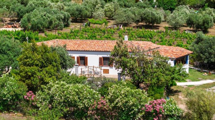 Casa Museddu Sonia