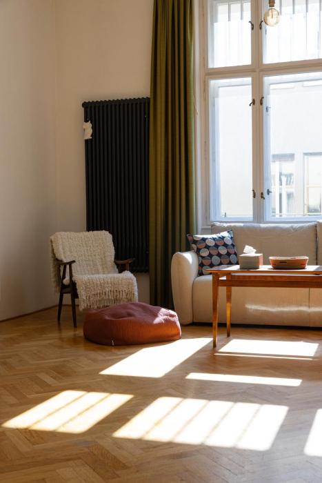Elegant Vintage Apartment