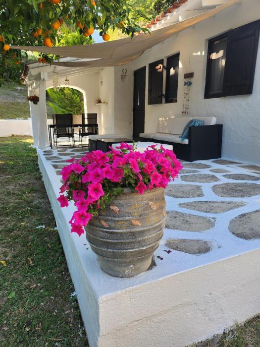 Sani Beach Guest House Myrtali