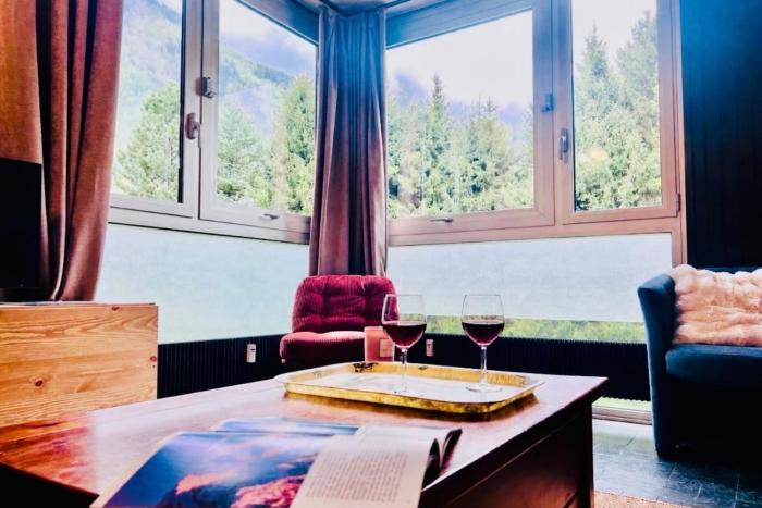 Apartment with views of Mont Blanc in Chamonix