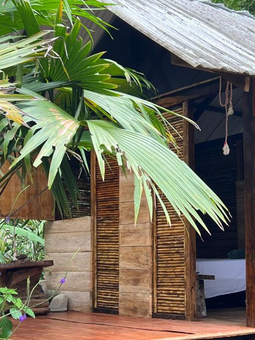 Ancestra black ecolodge
