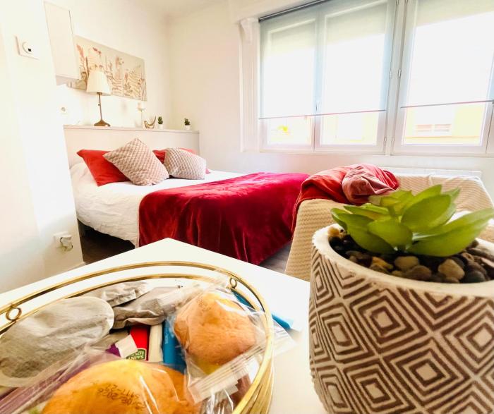 Le boudoir Béthunois - Appart hôtel centre -confort