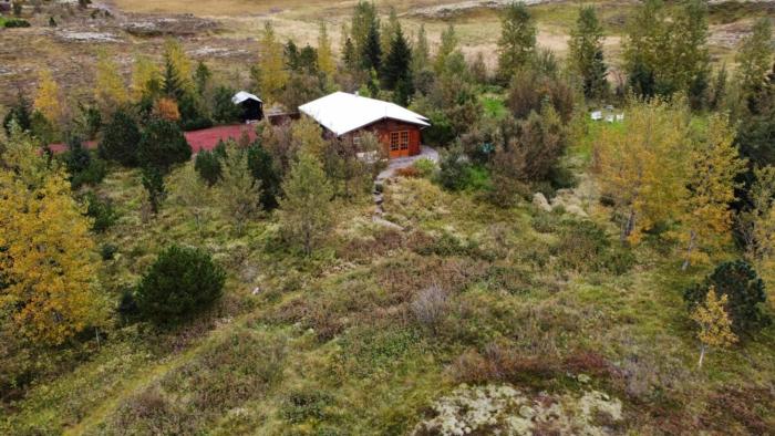 Rustic Wooden Cabin with Fireplace in Golden Circle