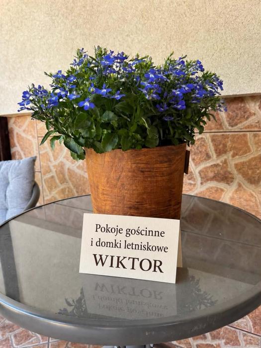 Wiktor