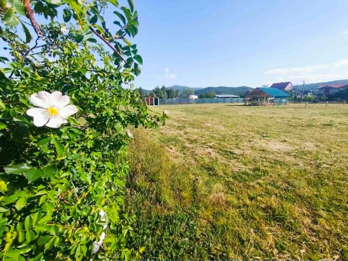 Auto Camp, Tents & Country Farm Bjelica