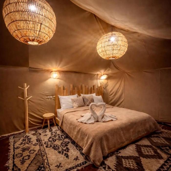 Desert aurel Camp