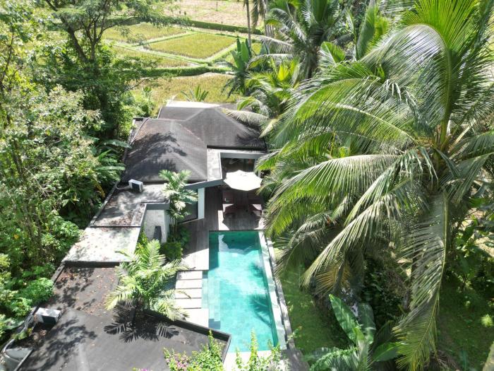 Ubud-Villa 2bdr-Pool-Jungle River & Rice field
