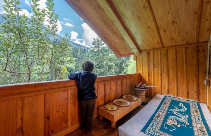 jibhi Orchard house