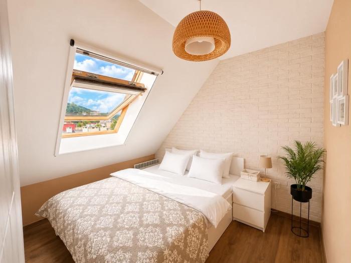 Old Town Apartment