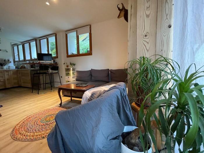 Montana Appartment