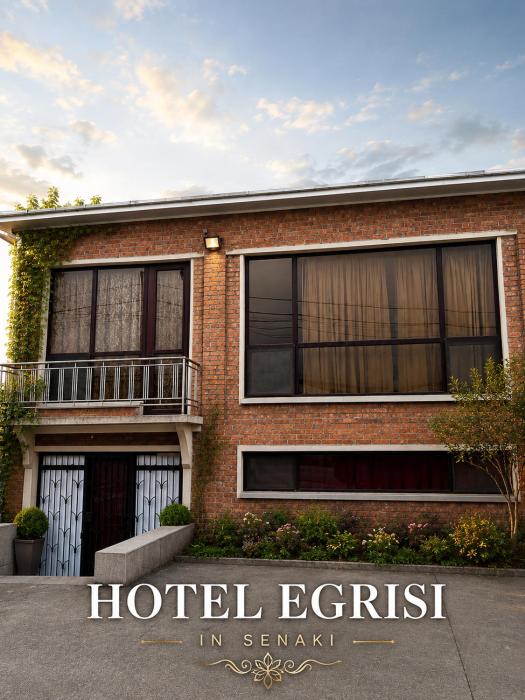 Hotel Egrisi in Senaki