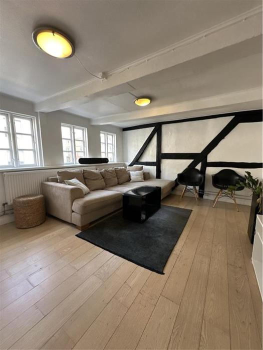 Three story apartment in thecity with private rooftop terasse