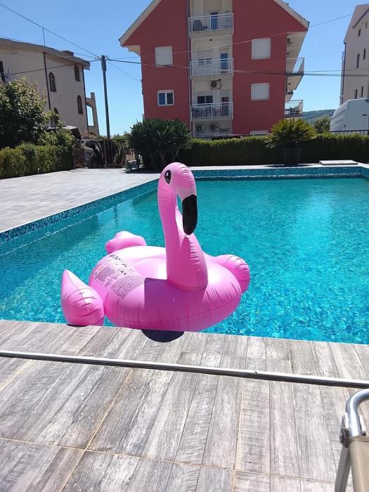 Apartment Lazy Dayz Pool