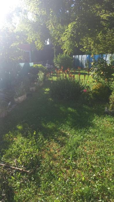 Villa Rose des Vents