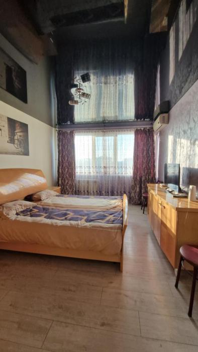 Apartment Danubio