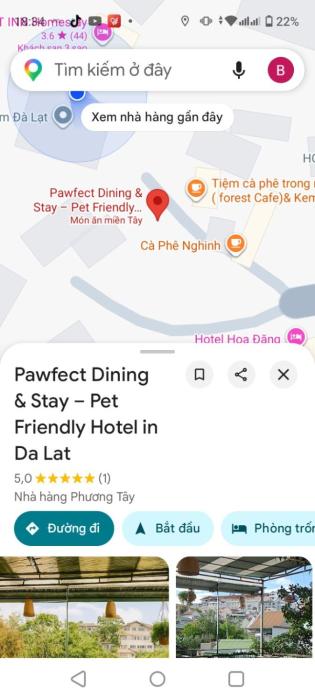 Pine Aura Dalat Inn